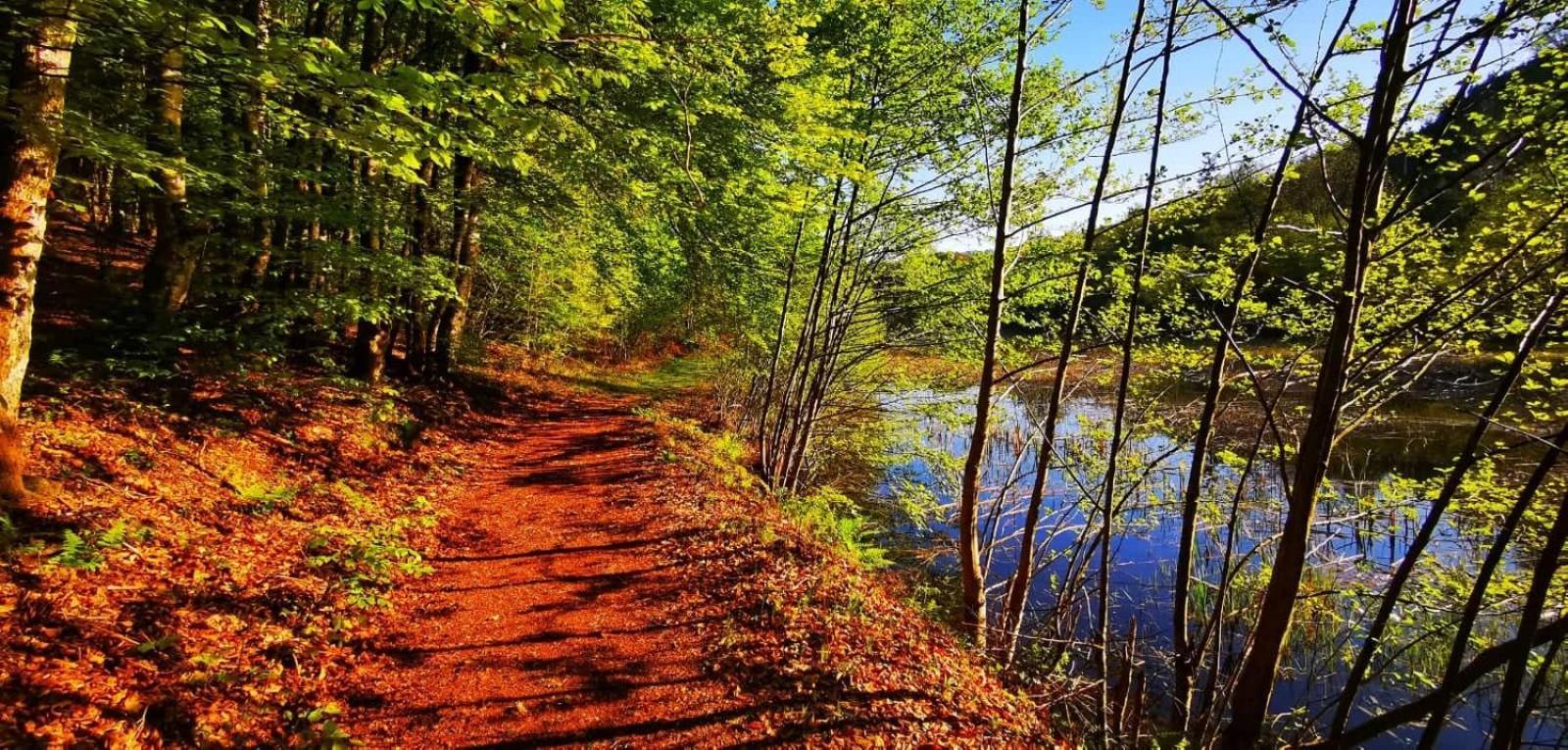 Le Lac Des Moines Condat  Ngoại thất bức ảnh
