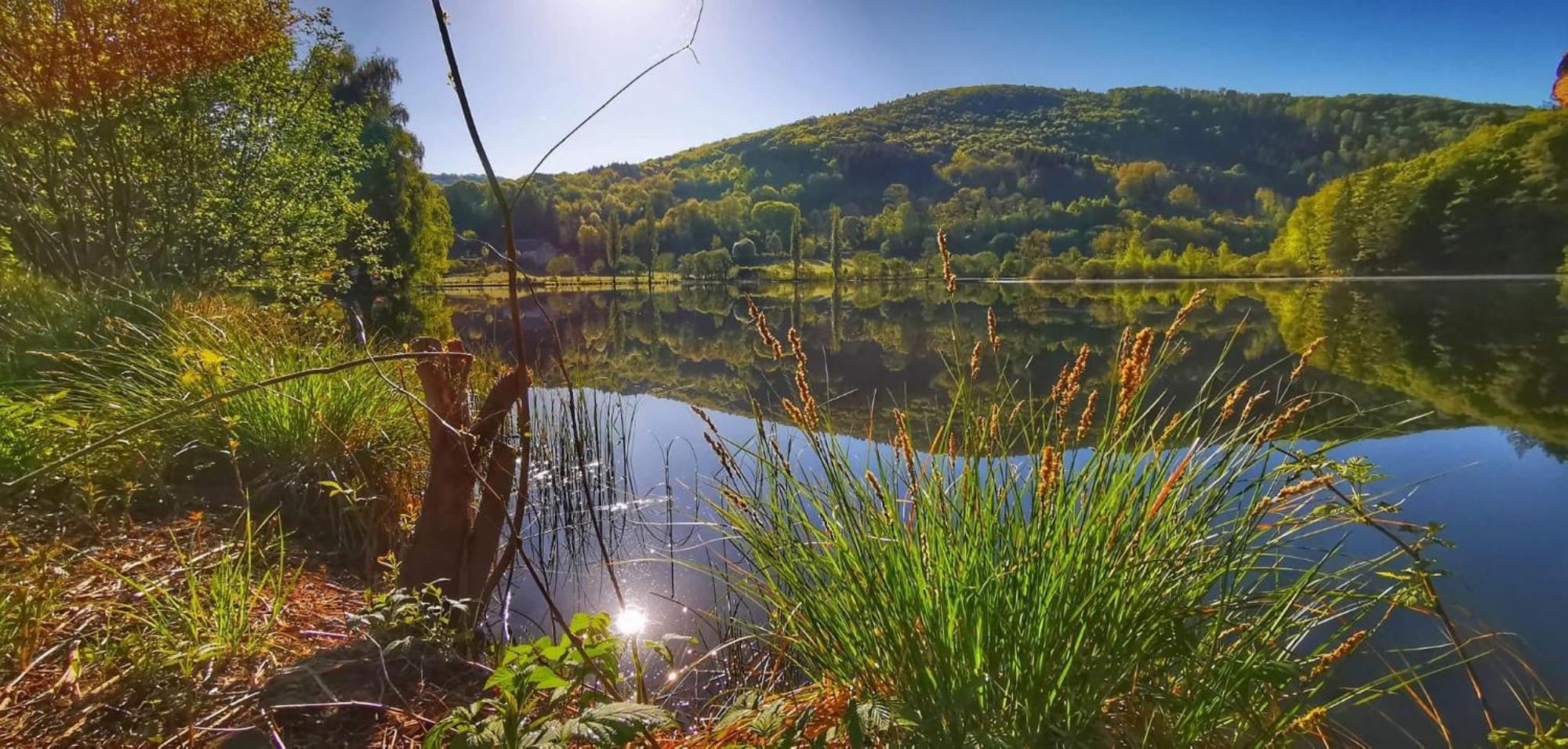 Le Lac Des Moines Condat  Ngoại thất bức ảnh
